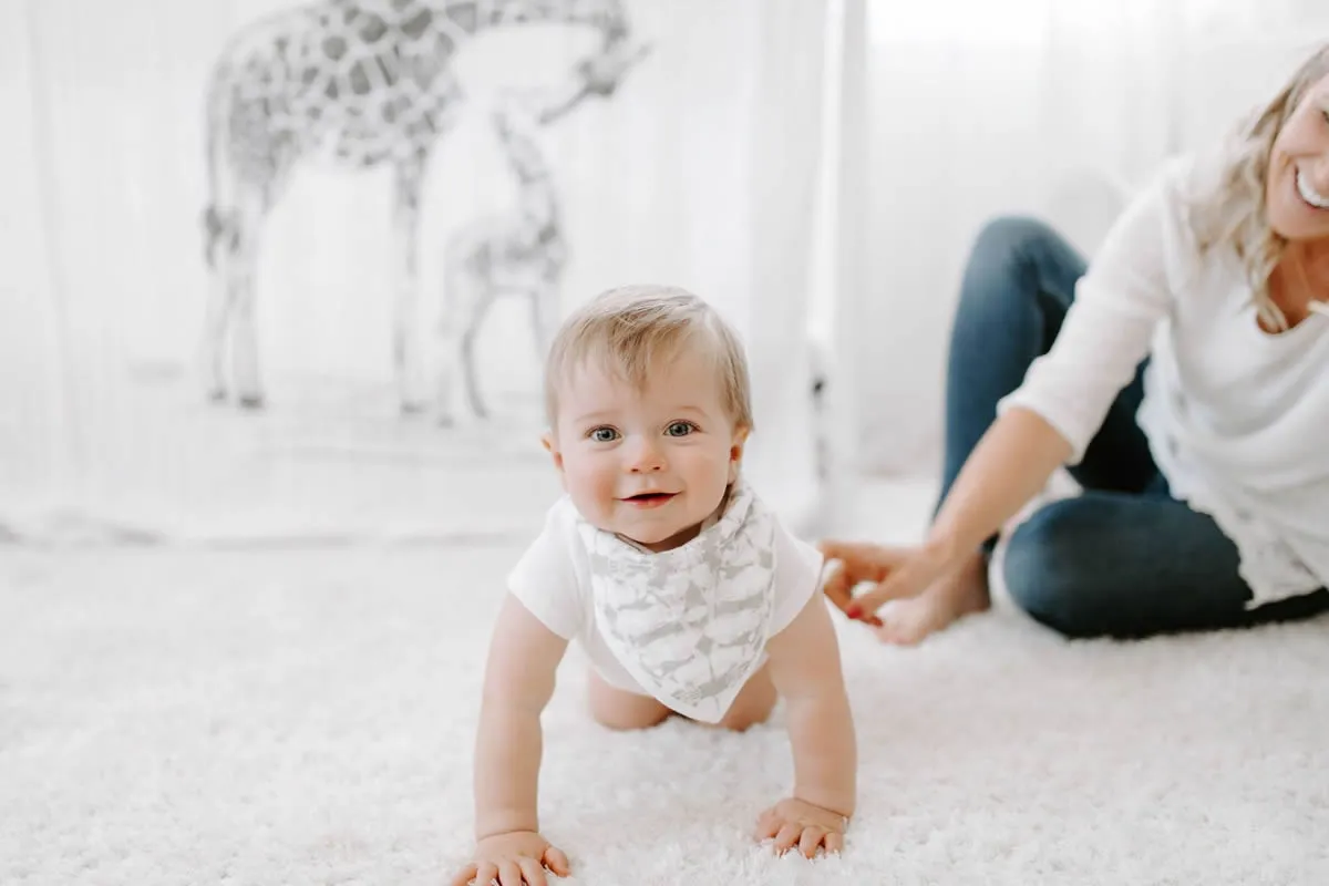 Aden   Anais Bandana Bib - Hear Me Roar Beetle Print