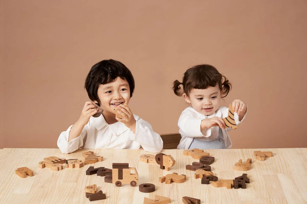Alphabet Play Blocks