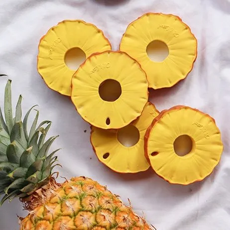 Ananas the Pineapple