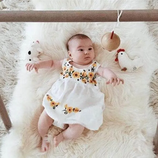 Baby Gift Set - On The Farm Knit Rattles