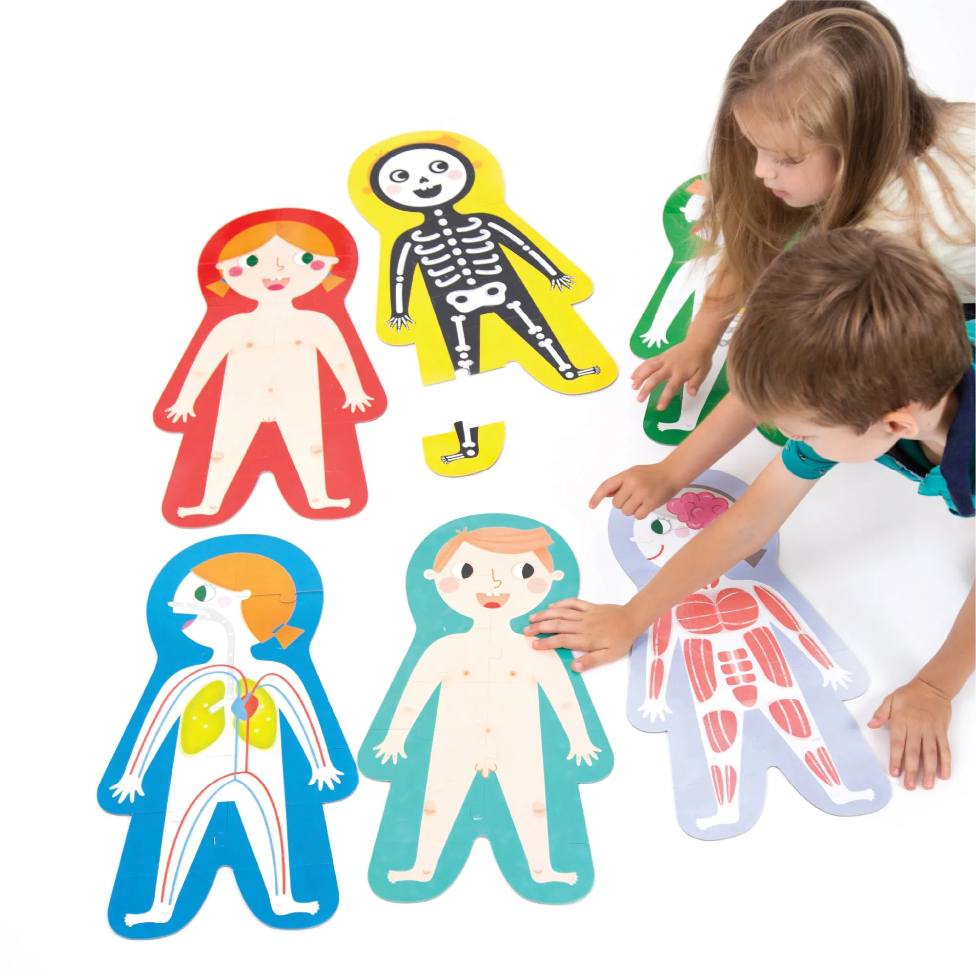 Banana Panda Suuper Size My Body Puzzle - Interactive Human Anatomy Game