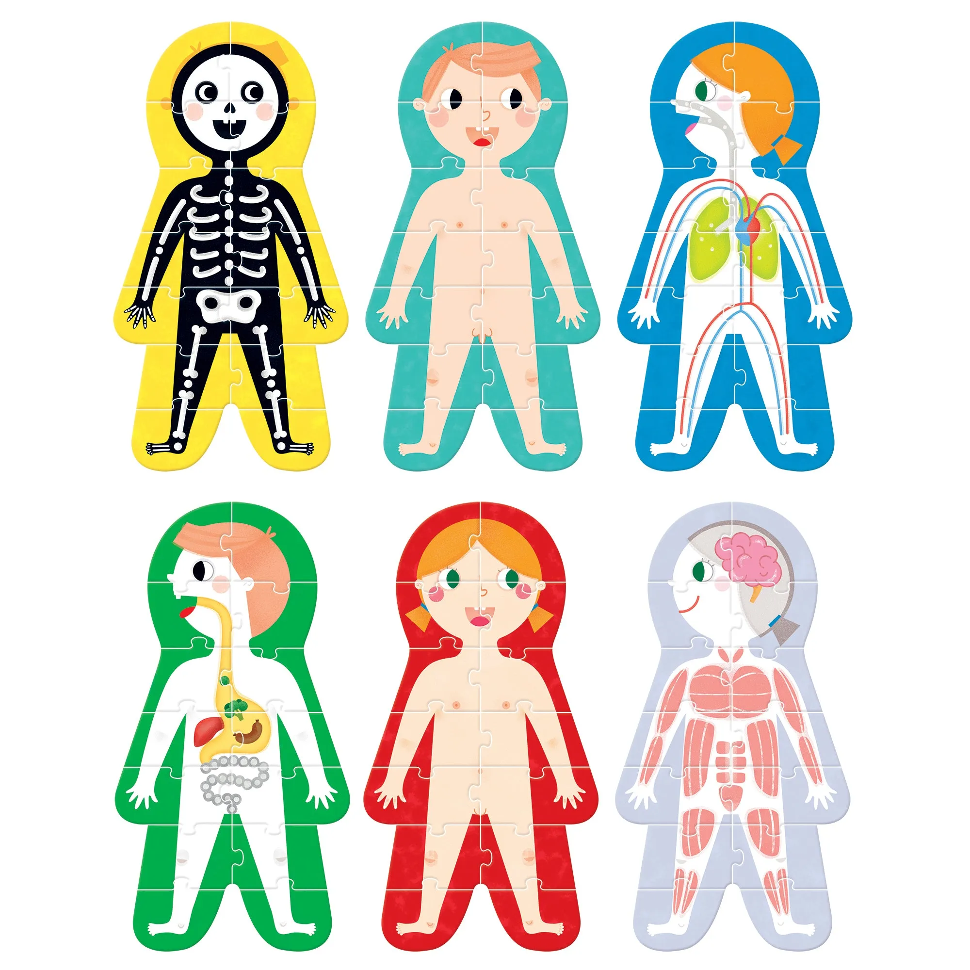Banana Panda Suuper Size My Body Puzzle - Interactive Human Anatomy Game