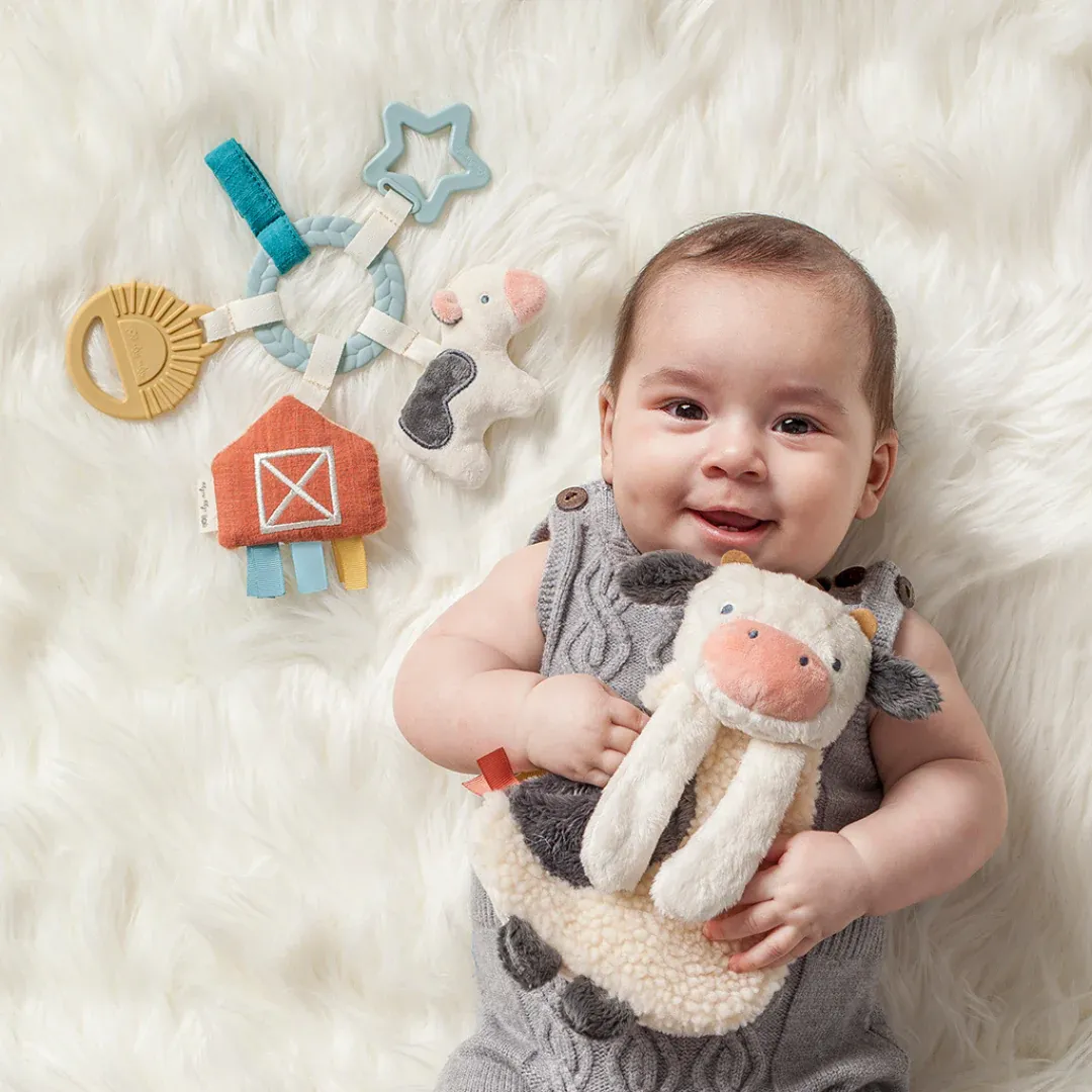 Bitzy Busy Gift Set - Farm