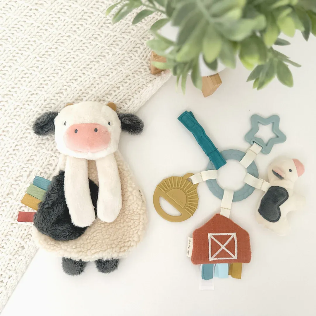 Bitzy Busy Gift Set - Farm