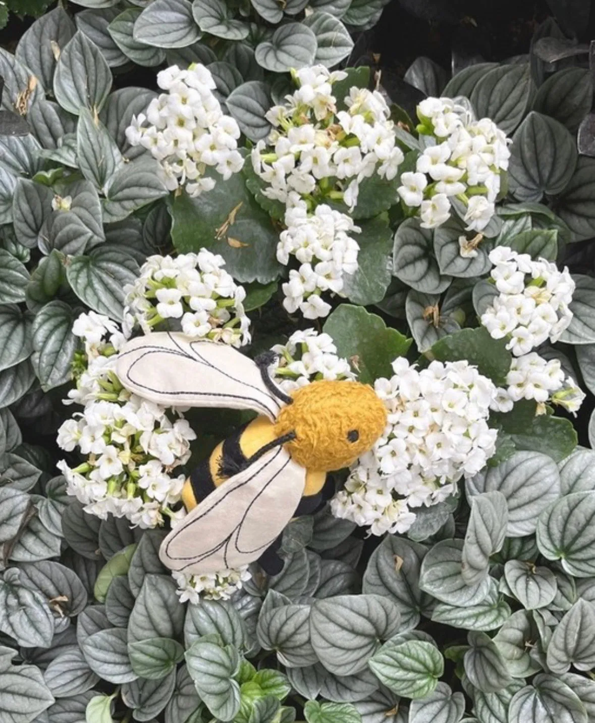 Bolette Bee Rattle Toy
