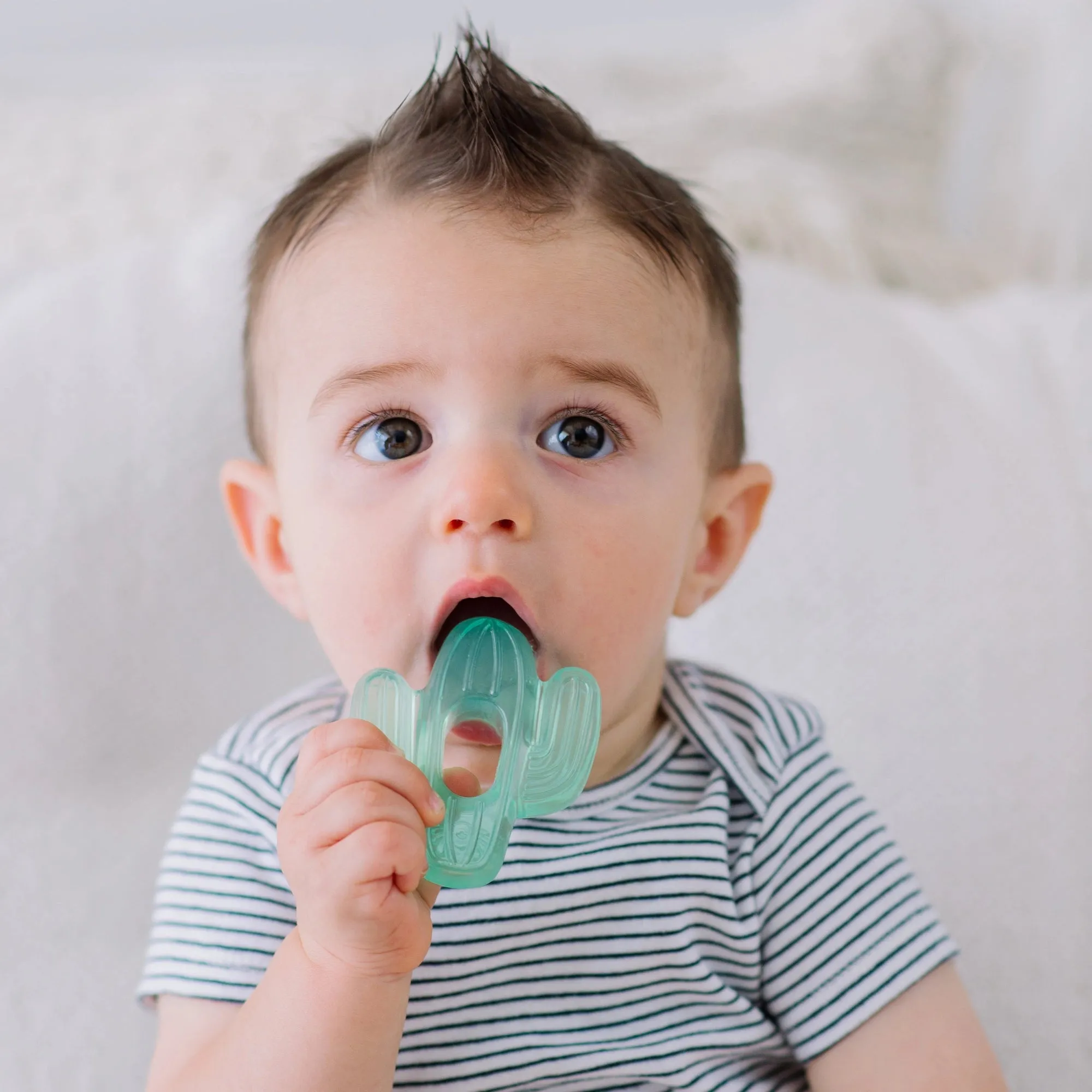 Cutie Coolers™ Water Filled Teethers Dino