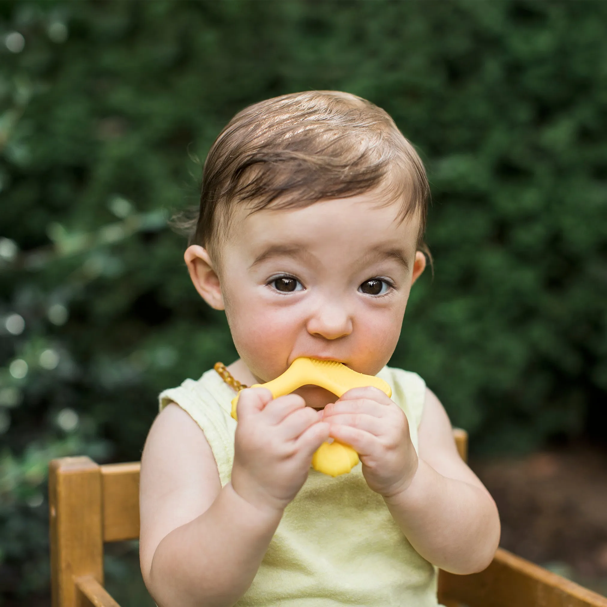 Green Sprouts Cleaning Teether - 3mo 