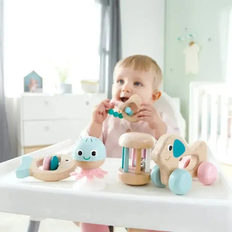 Hape Wooden Multi-Stage Sensory 5 PCs Gift Set