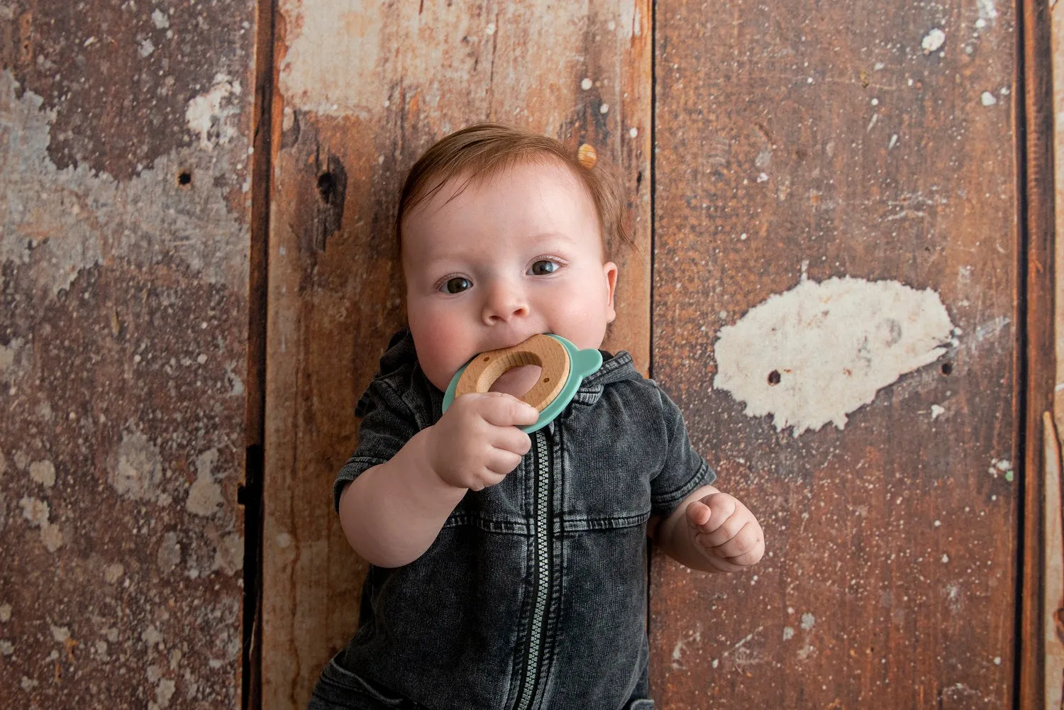 Little Rawr Wood   Silicone Disc Teether- BEAR Shape- Blue