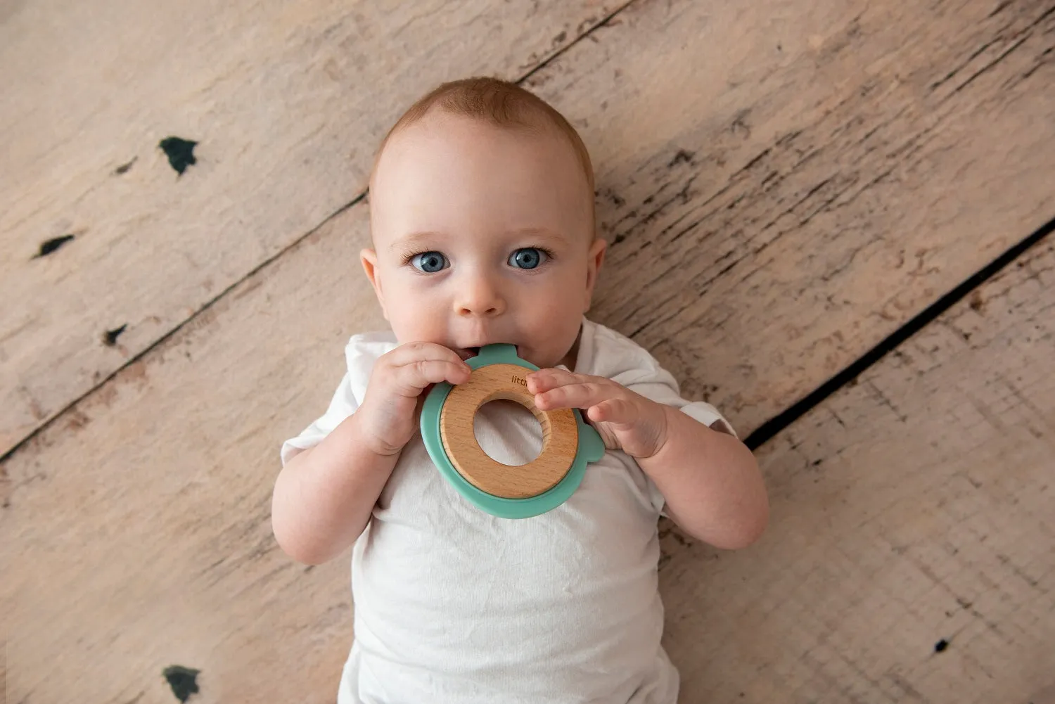 Little Rawr Wood   Silicone Disc Teether- BEAR Shape- Blue