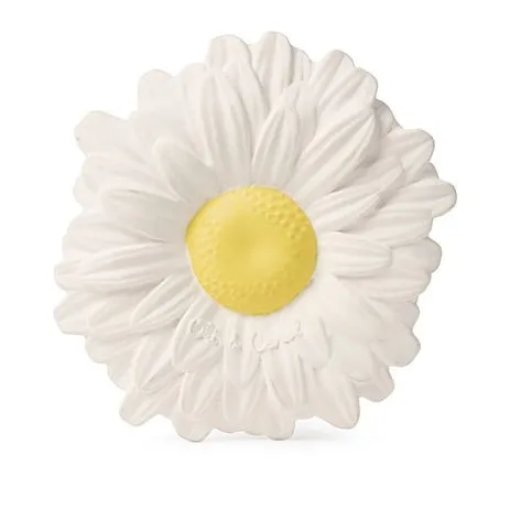Margarita the Daisy