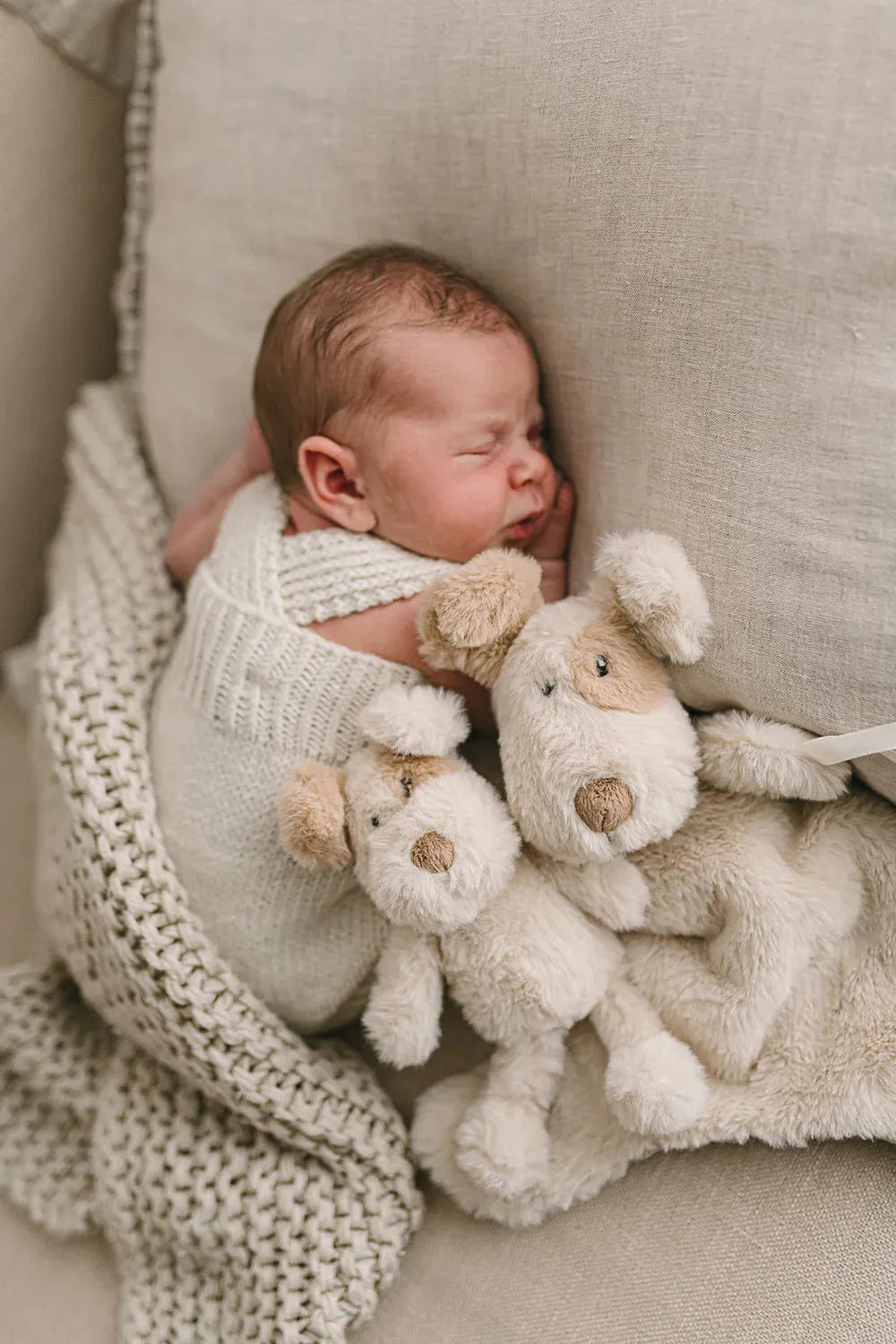Nana Huchy - Buddy the Dog Rattle