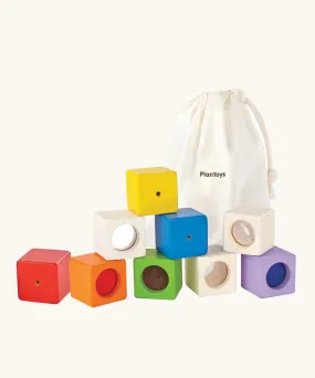 PlanToys Activity Blocks