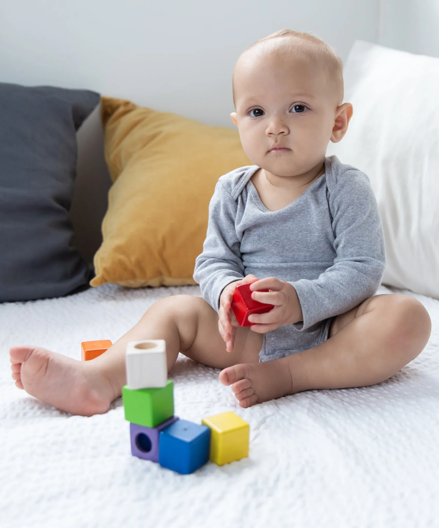 PlanToys Activity Blocks