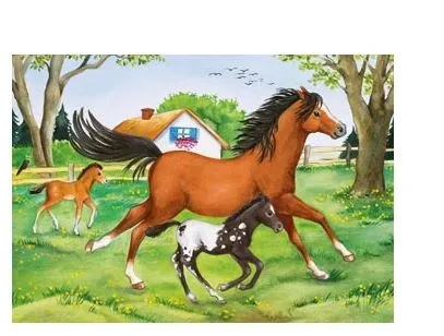 RAVNSBURGER 088829 -  WORLD OF HORSES 2X24 PIECE PUZZLE