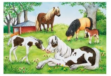 RAVNSBURGER 088829 -  WORLD OF HORSES 2X24 PIECE PUZZLE