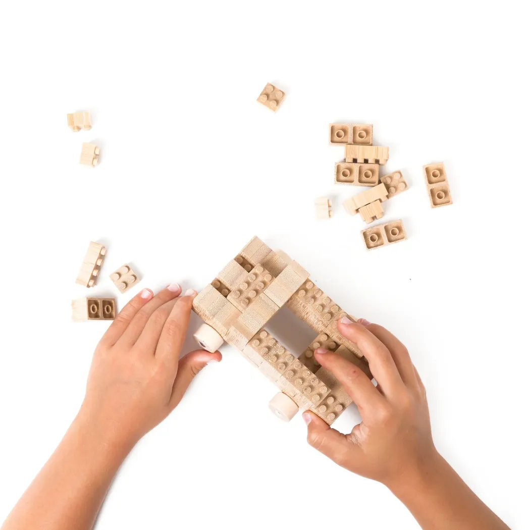 Wooden Eco-Brick Set