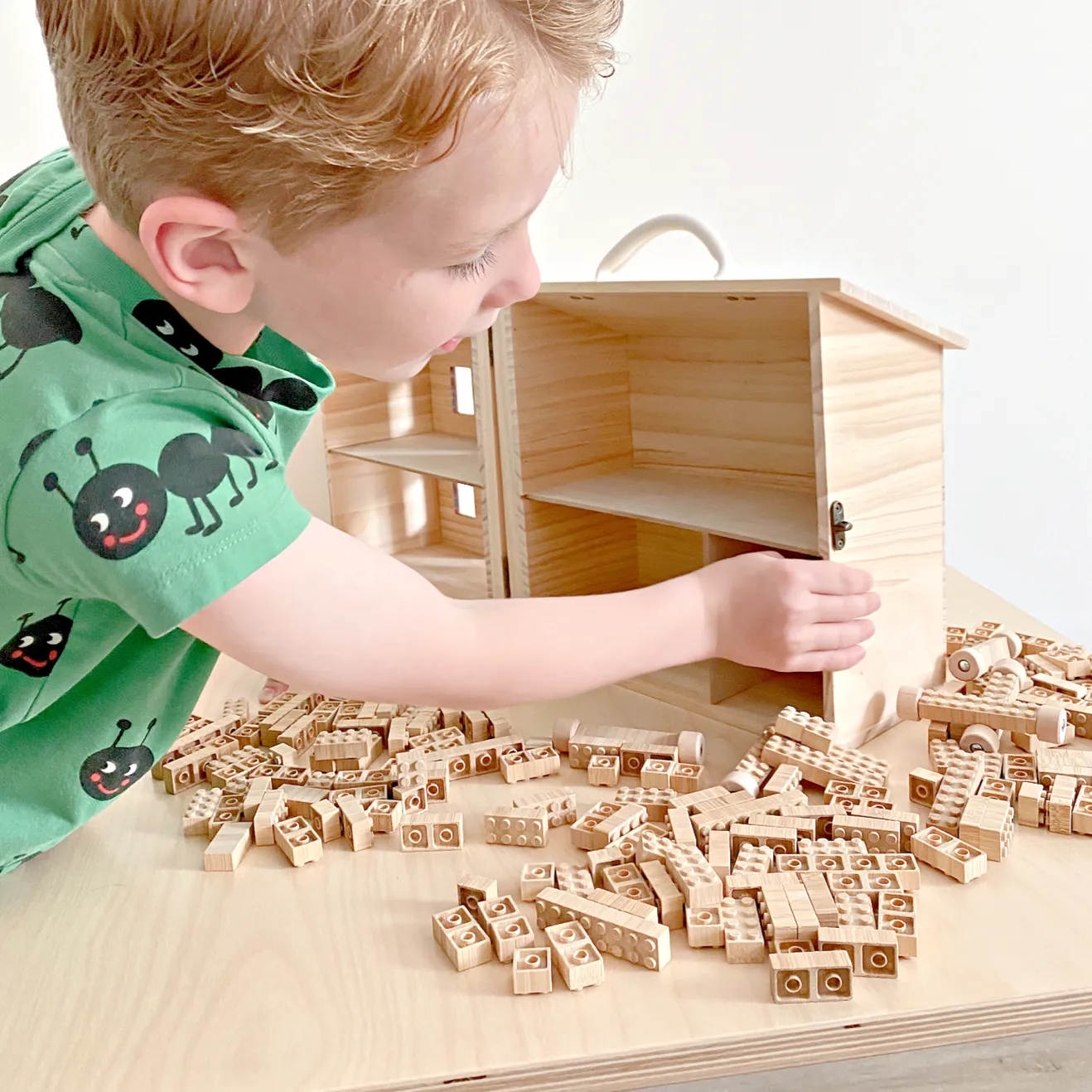 Wooden Eco-Brick Set
