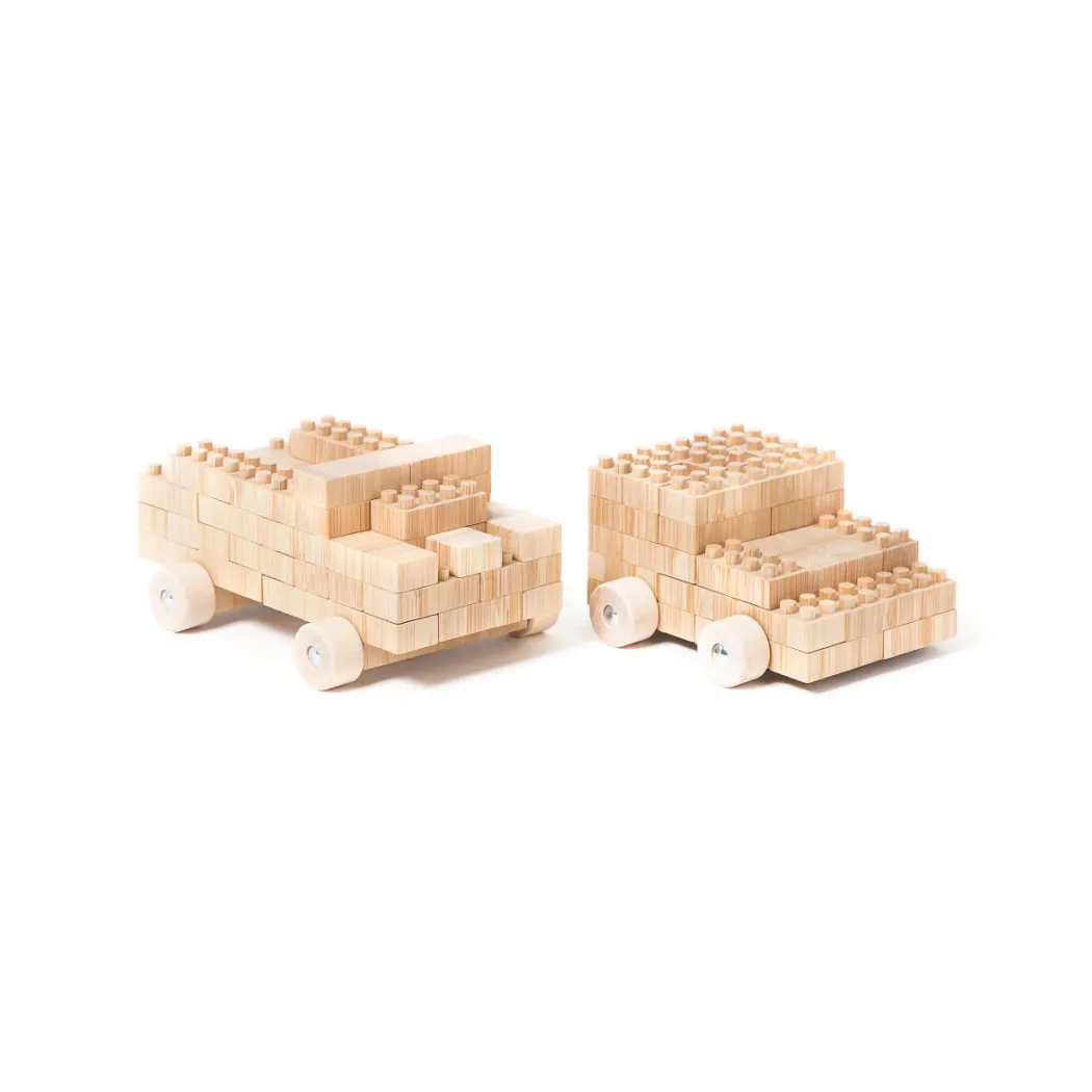 Wooden Eco-Brick Set