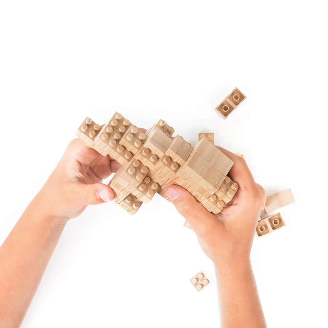 Wooden Eco-Brick Set